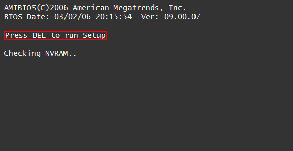 Press DEL key to enter setup.